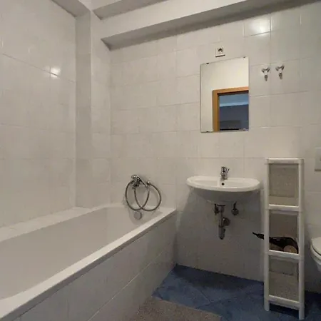 Apartma Lunca 1 דירה